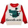 Baby Boy Cartoon Dinosaur Graphic ColorBlock Sleeves Design Fashion Pullover Sweater